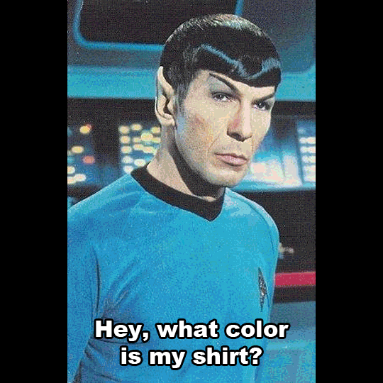 ...and then Spock weighed in on the matter.